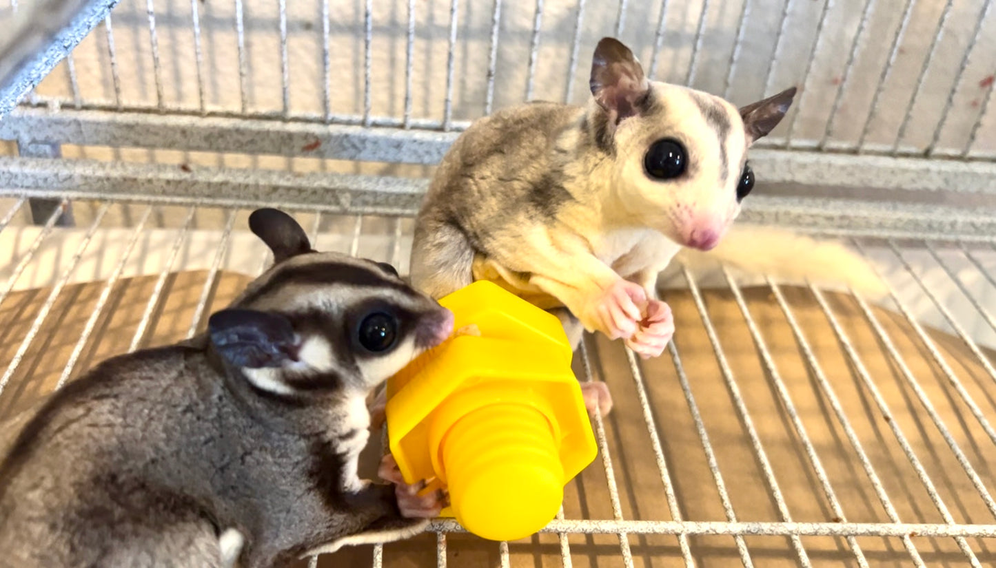 Toys - Sugar Glider Treat Toys (2 for $4.25)