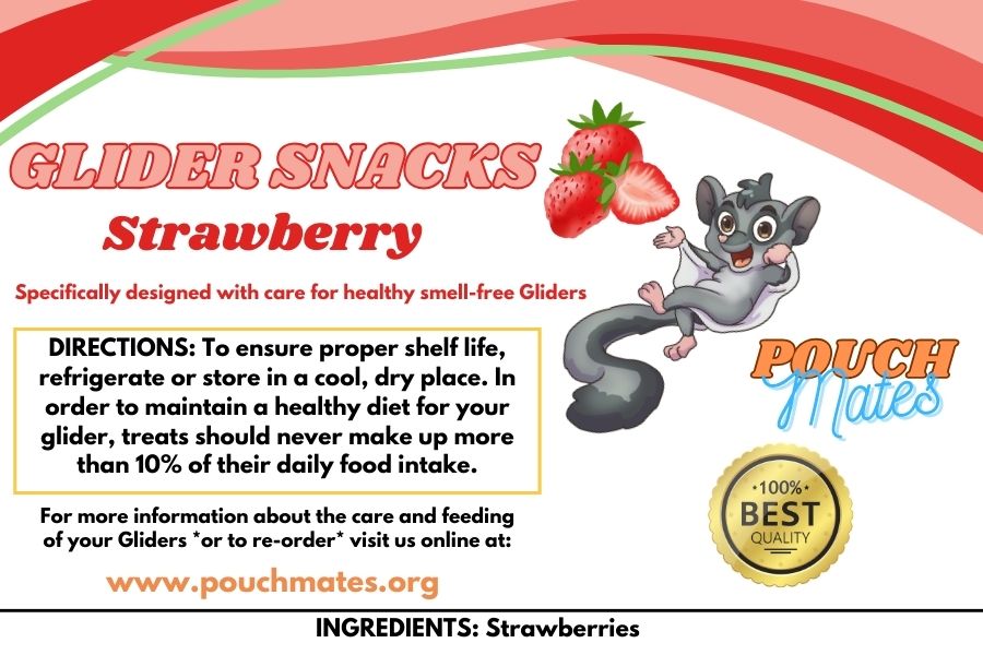 Glider Snacks - Strawberry