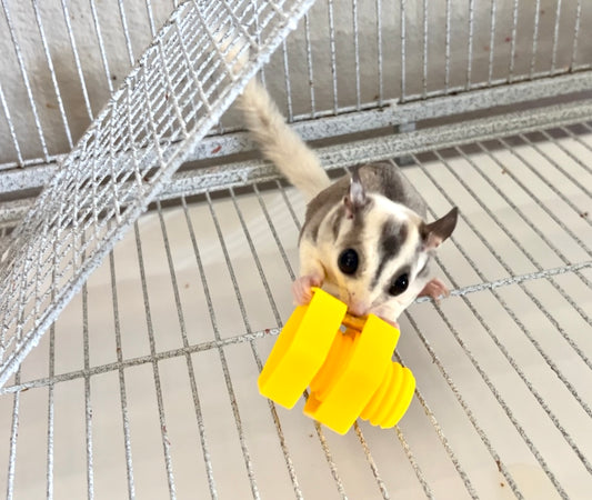 Toys - Sugar Glider Treat Toys (2 for $4.25)