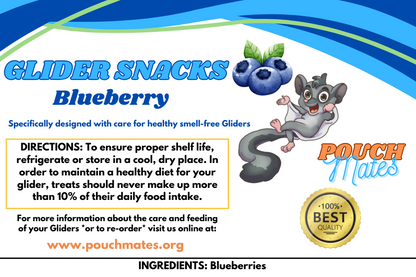 Glider Snacks - Blueberry