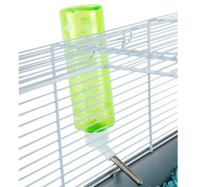 Water Bottle (Pack of 2)