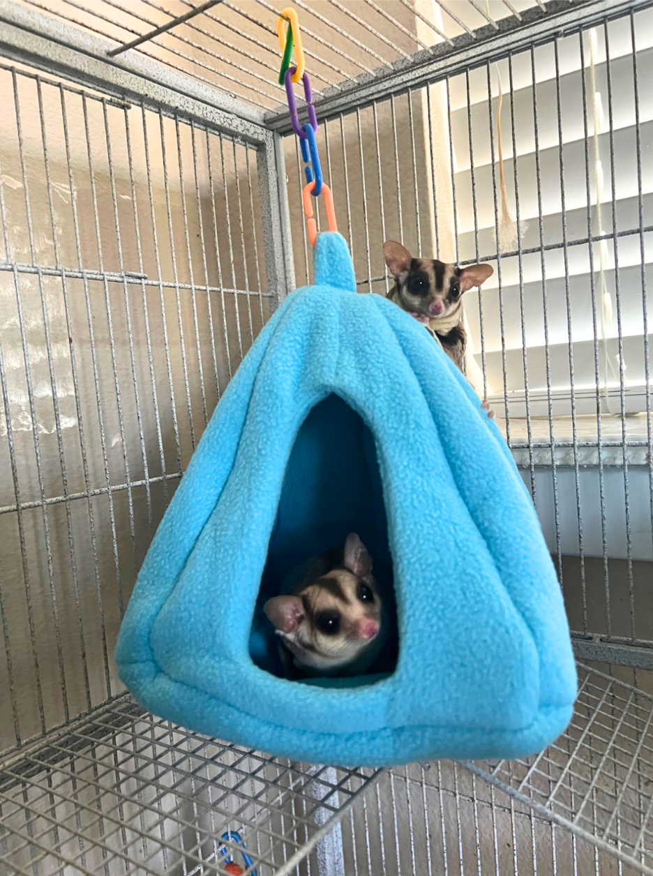 Hanging Large Beds (Set of 2)