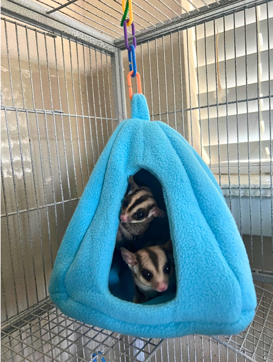 Hanging Large Beds (Set of 2)