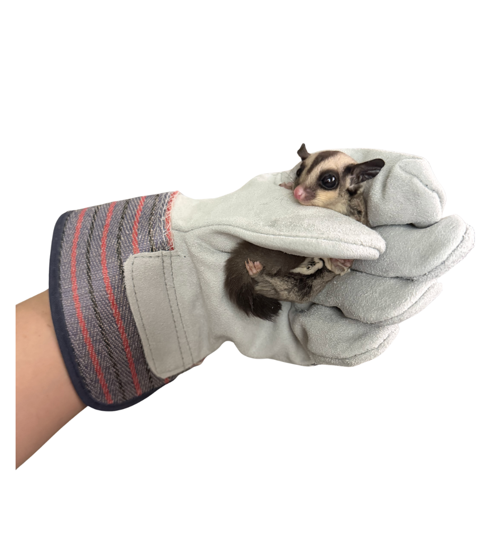 Training Gloves - Grey Leather