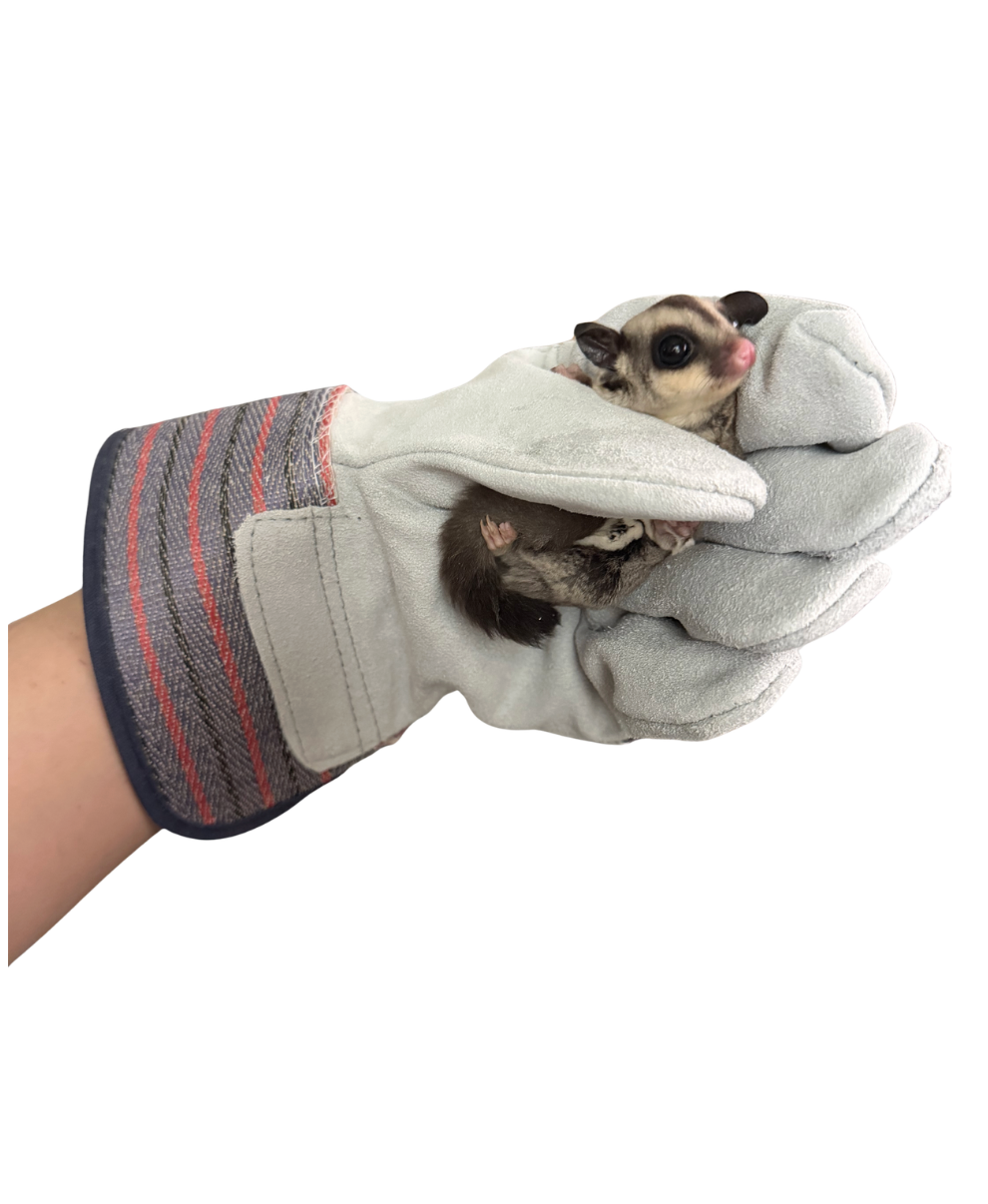 Training Gloves - Grey Leather
