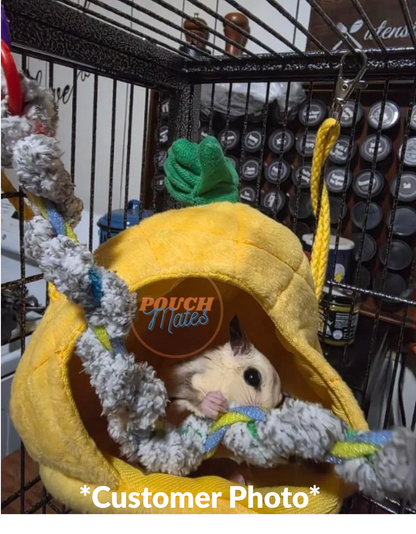 Toys - Ropes