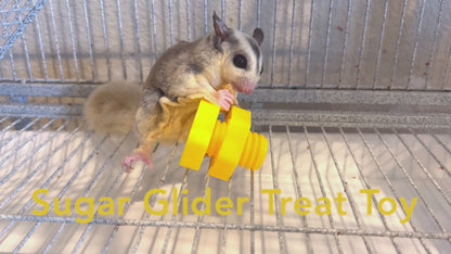 Glider Snacks - Pineapple